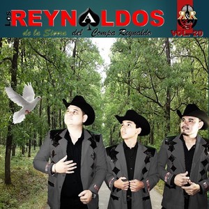 Los Reynaldos de la Sierra, Vol. 20
