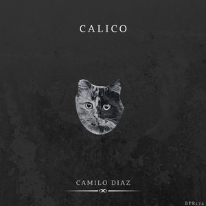Calico (Original Mix)