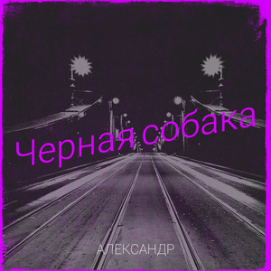 Черная собака