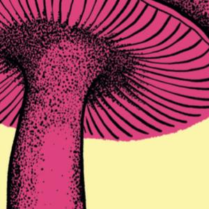 Mushroom (Fantoche International Animation Film Festival 2024)