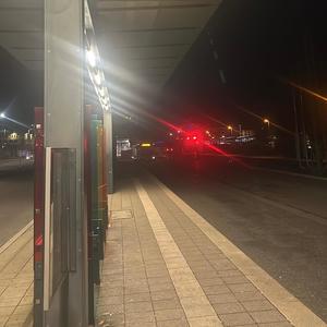 Wieder Draußen