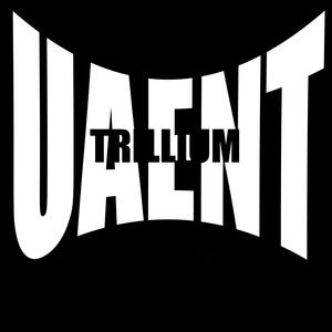 UA ENT (Explicit)