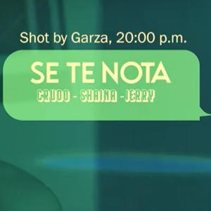 Se te nota (feat. Shaina & Crudo)