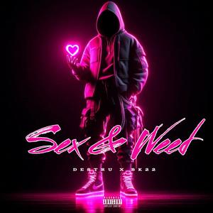 *** & **** (feat. Bk22) (Explicit)