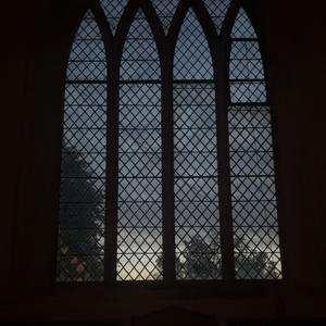 Wont Let You Down (feat. 1lemon)