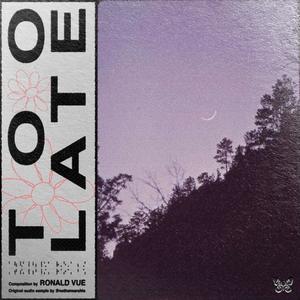 too late.(feat. Nathan Archie)