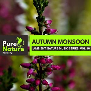 Autumn Monsoon - Ambient Nature Music Series, Vol.10