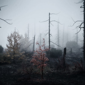 Температура