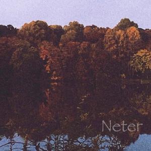 Neter