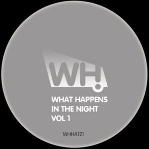 What Happens in the Night Vol 1