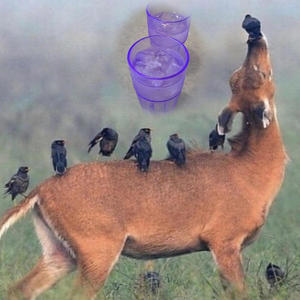 Black eyed (feat. Natro) (Explicit)