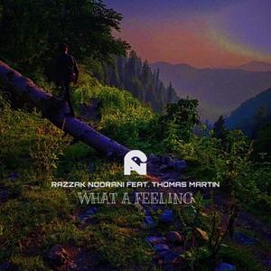 Razzak Noorani - What A Feeling (feat. Thomas Martin)
