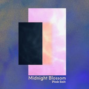 Midnight Blossom