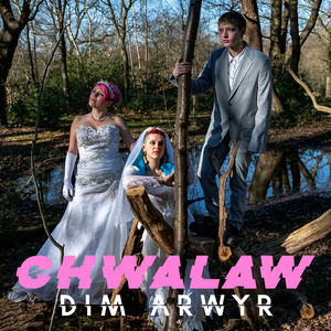 Dim Arwyr