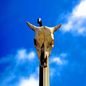 devil on my back/st dripo intro (Explicit)