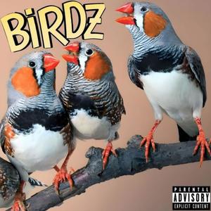 Jay Green - Bird News (Explicit)