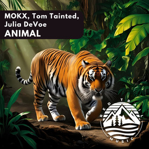 Animal (Original Mix)