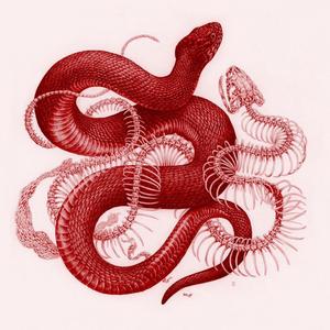 animorphs (feat. shiyoko & nvr nvmbr) [Explicit]