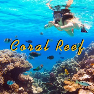 Coral Reef