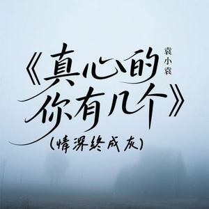 真心的你有几个 (情深终成灰)封面
