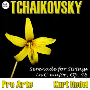 Tchaikovsky: Serenade for Strings in C major, Op. 48