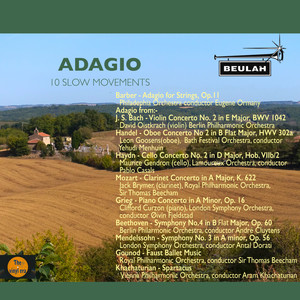 Cello Concerto No.2 in D major, Hob.VIIb2 - II. Adagio