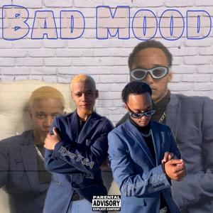 Bad Mood (feat. Young Naz) [Explicit]