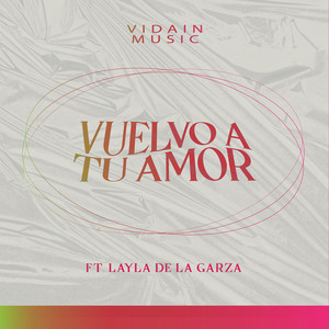 Vuelvo a Tu Amor