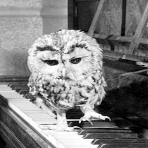 peso completo (Explicit)