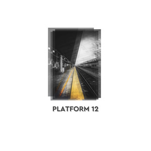 Platform 12