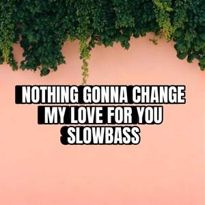 NOTHING GONNA CHANGE - SLOWBASS