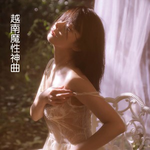 越南魔性神曲 (DJ版)