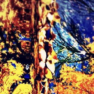 世界人民大团結