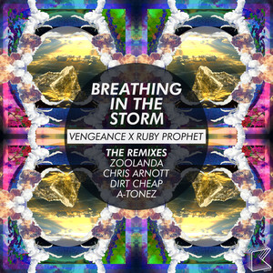 Breathing in the Storm (Zoolanda Remix)