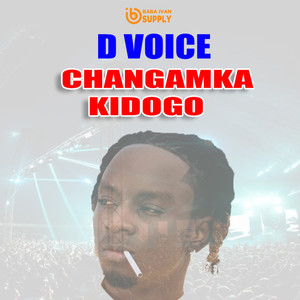 Changamka kidogo