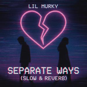 Separate Ways (Slow & Reverb)