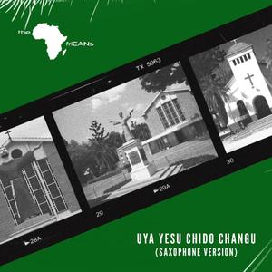 Uya Yesu Chido Changu(feat. Joseph Chinouriri) (Saxophone Version)