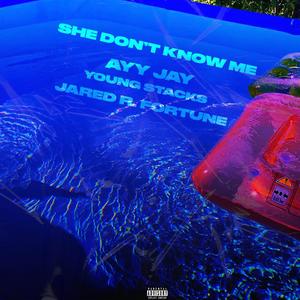 She Don't Know Me (feat. Young Stacks & Jared R. Fortune) [Explicit]