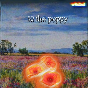 To the Poppy