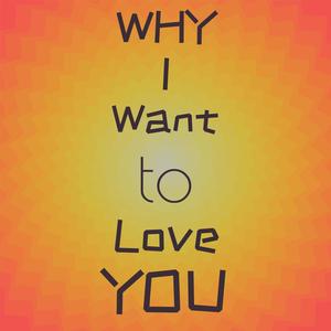 Why I Want to Love you