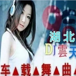 荆州DJ云天-DJ狠心的话还是不要说2016车载舞曲独家首发