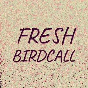 Fresh Birdcall