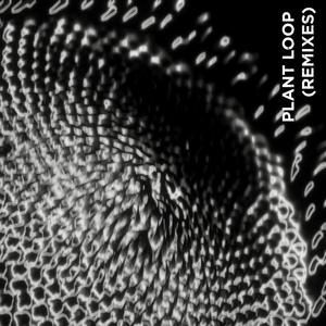 Plant Loop (Dj Floor Remix)