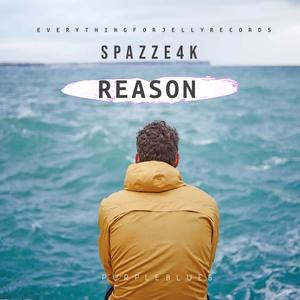 Reason (Explicit)