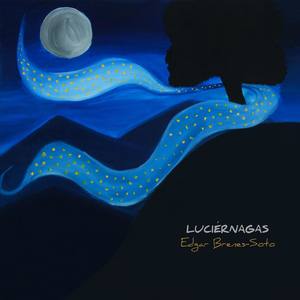 Edgar Brenes Soto: Luciérnagas