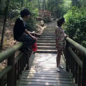 蝶儿飞你未归