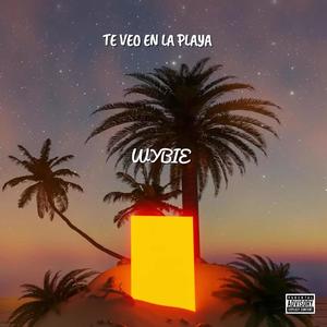TE VEO EN LA PLAYA