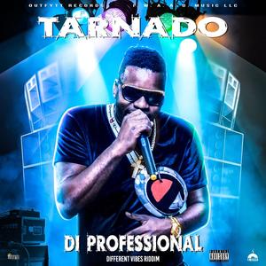 Di Professional (Explicit)