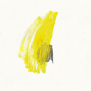 An einem Kirschbaum in einem Sommer