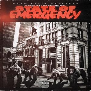 Rock Solid Presents Too Much Heat : State OF Emergency (Explicit)